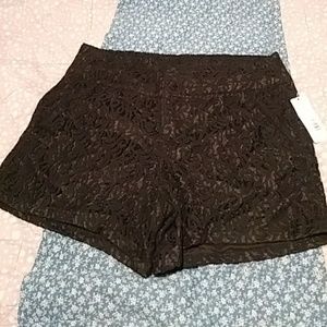 Women metaphor lace shorts